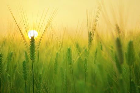 Boilerplate Dummy 1440x810